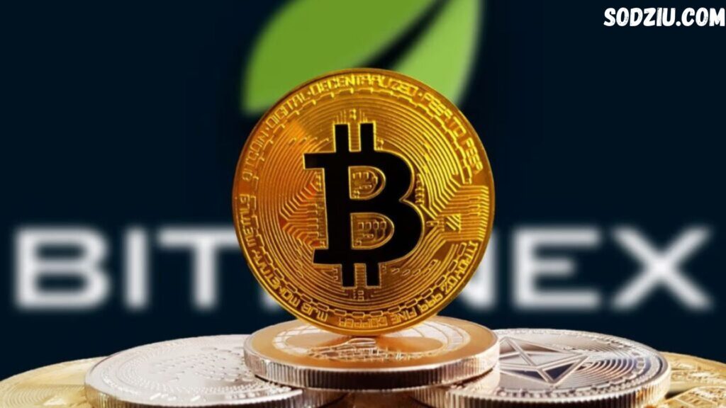 crypto 30x.com